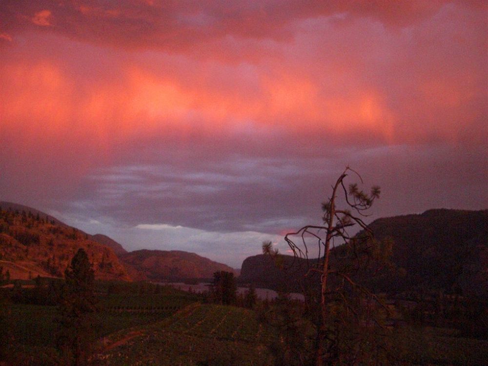 Bighorn Ridge Guesthouse Okanagan Falls Kültér fotó