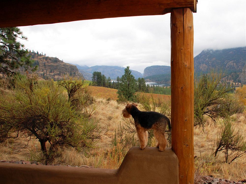 Bighorn Ridge Guesthouse Okanagan Falls Kültér fotó